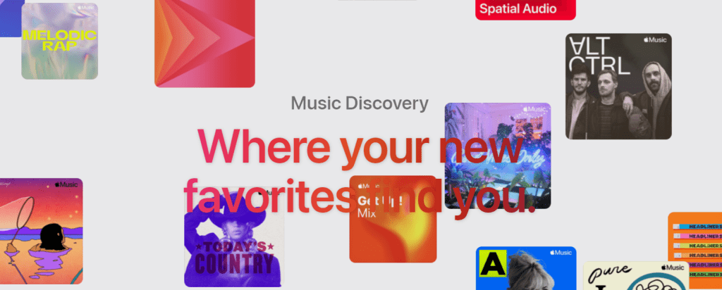 Export/download your Apple Music data